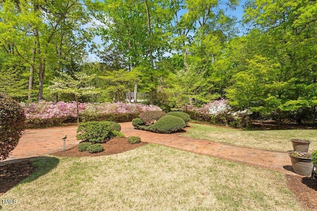 view of grassy yard