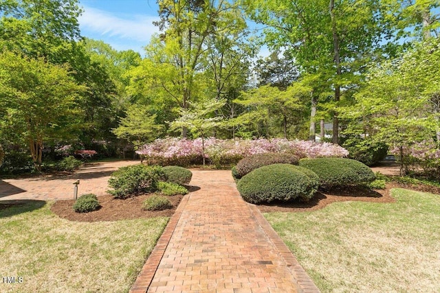 view of grassy yard