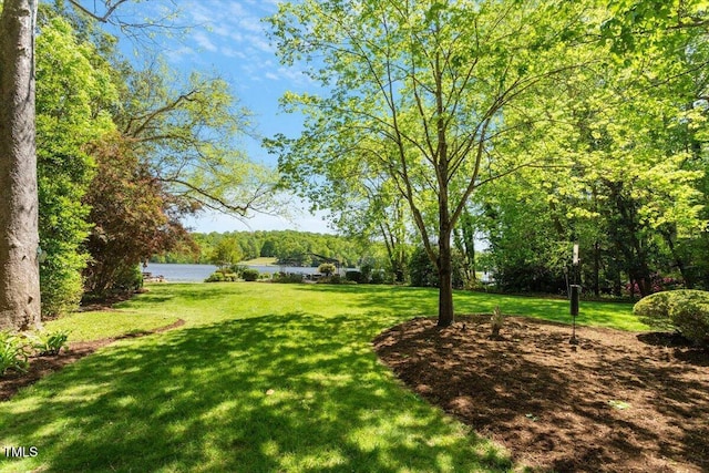 view of green lawn with a water view and a forest view