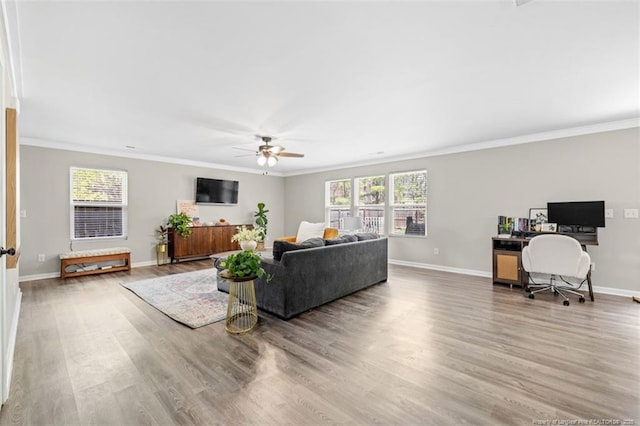 living area featuring a ceiling fan, wood finished floors, baseboards, and ornamental molding