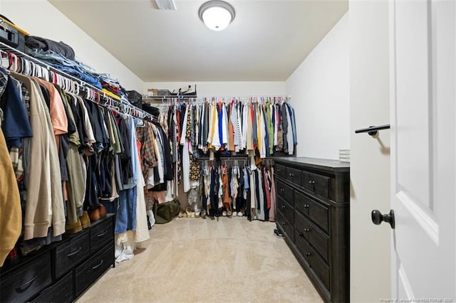 spacious closet featuring light colored carpet
