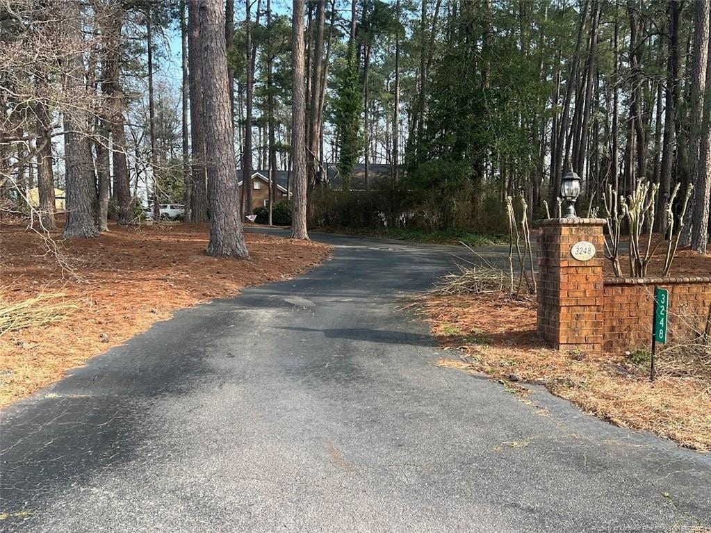 view of street with driveway