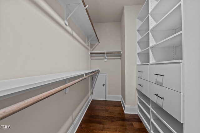 walk in closet with dark wood-type flooring