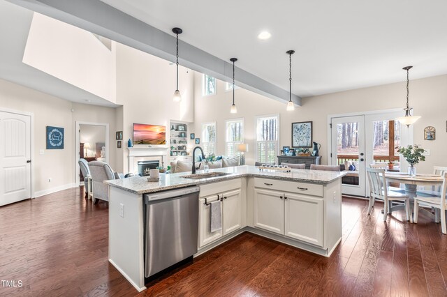 50 Lockamy Ln, Youngsville, NC 27596 - kitchen featuring dishwasher, a fireplace, open floor plan, and a sink