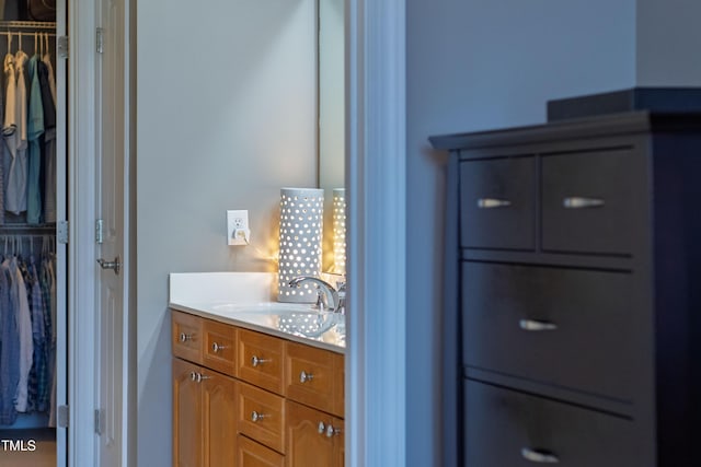 340 Allister Dr Unit 201, Raleigh, NC 27609 - bathroom featuring vanity and a spacious closet