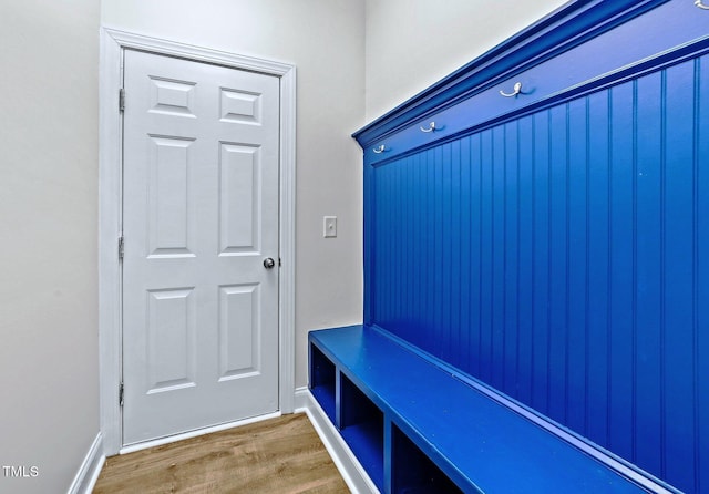 mudroom featuring wood finished floors