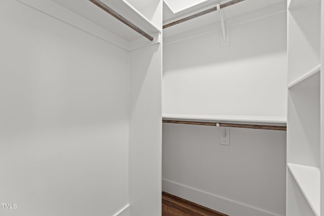 spacious closet with dark wood finished floors
