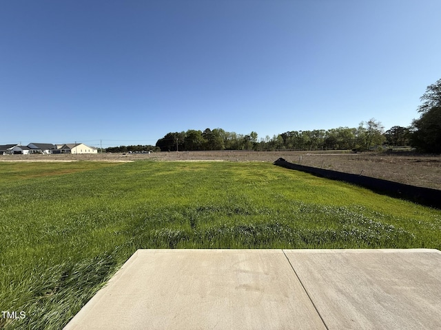 87 Heatherglenn Cir, Princeton, NC 27569 - view of yard with a rural view