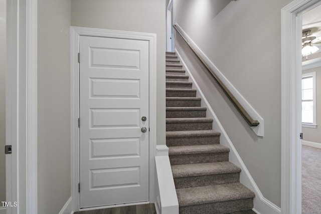 stairs featuring carpet flooring and baseboards