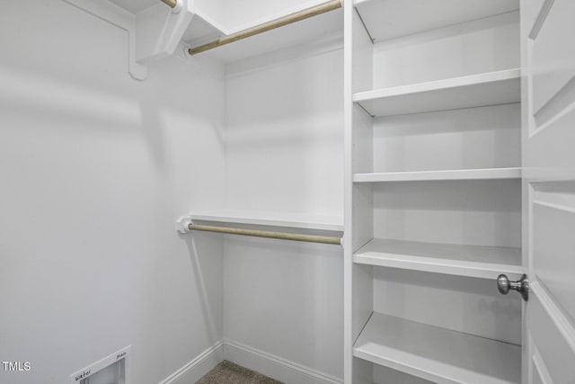 walk in closet featuring carpet