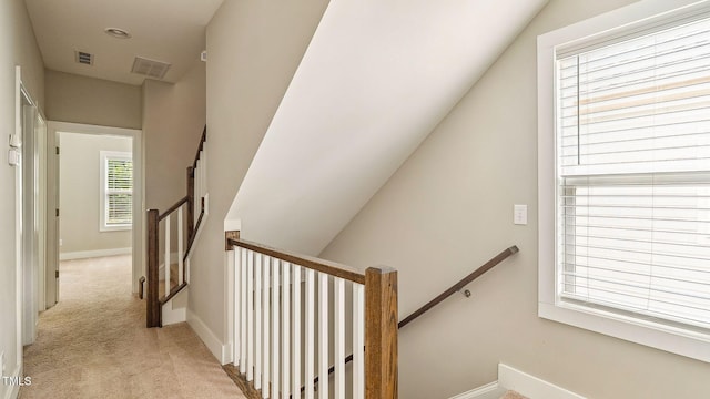 105 Della St, Chapel Hill, NC 27516 - photo 24