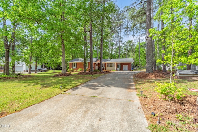 ranch-style home featuring driveway, an attached carport, and a front lawn