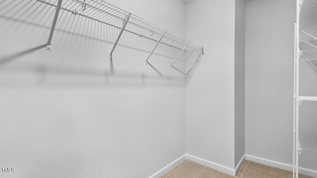 1010 Ocean Ct, Carthage, NC 28327 - walk in closet with carpet