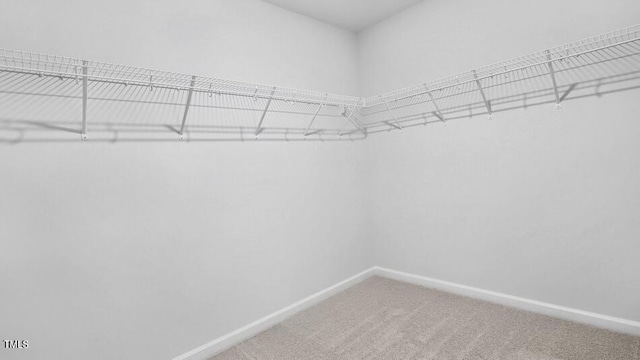 1014 Ocean Ct, Carthage, NC 28327 - walk in closet featuring carpet