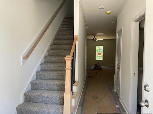 1016 Laurel St, Fayetteville, NC 28303 - photo 3