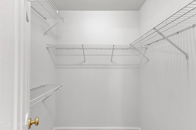 11035 Southwalk Ln, Raleigh, NC 27614 - view of walk in closet