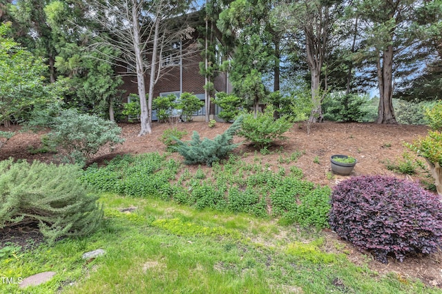11035 Southwalk Ln, Raleigh, NC 27614 - view of yard