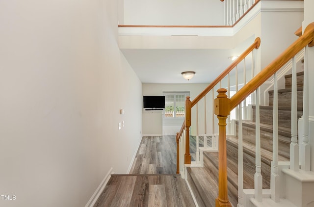 11035 Southwalk Ln, Raleigh, NC 27614 - photo 4
