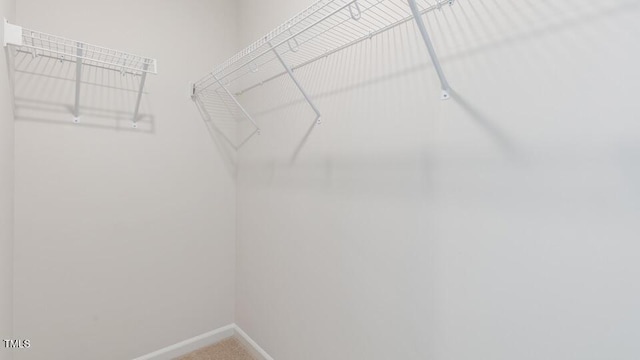 140 Holton St, Smithfield, NC 27577 - walk in closet with carpet flooring