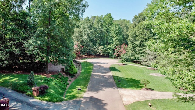 surrounding community with a lawn