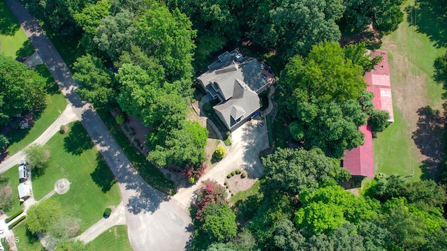 bird's eye view