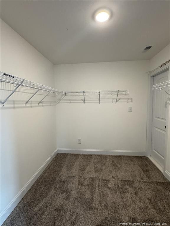 150 Ziggy Way, Raeford, NC 28376 - walk in closet with carpet floors