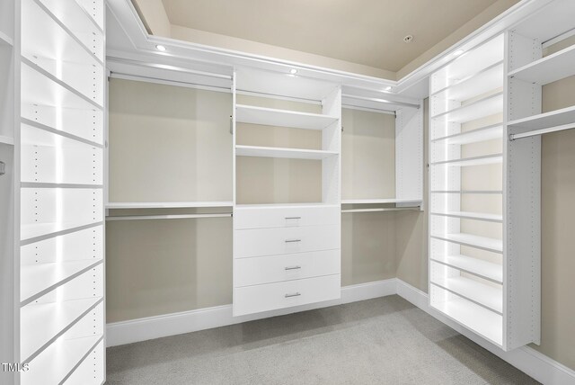 10529 Sablewood Dr Unit 111, Raleigh, NC 27617 - walk in closet with light carpet