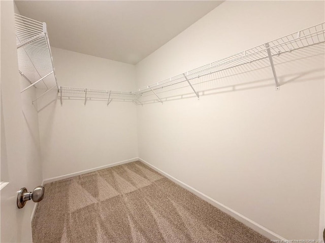 2224 Roadster Pony Rd, Hope Mills, NC 28348 - walk in closet featuring carpet flooring
