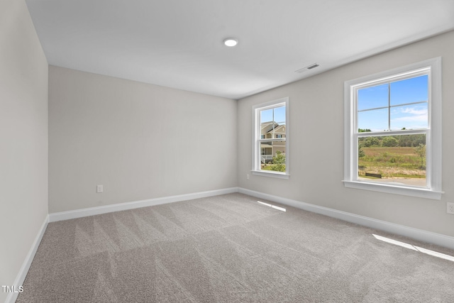 20 Diamond Creek Dr, Zebulon, NC 27597 - spare room featuring plenty of natural light and carpet floors