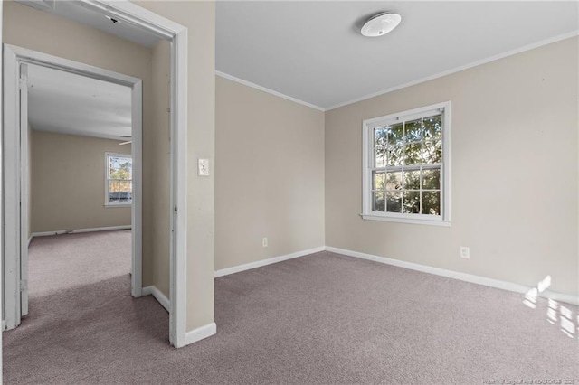 414 York Rd, Fayetteville, NC 28303 - photo 17