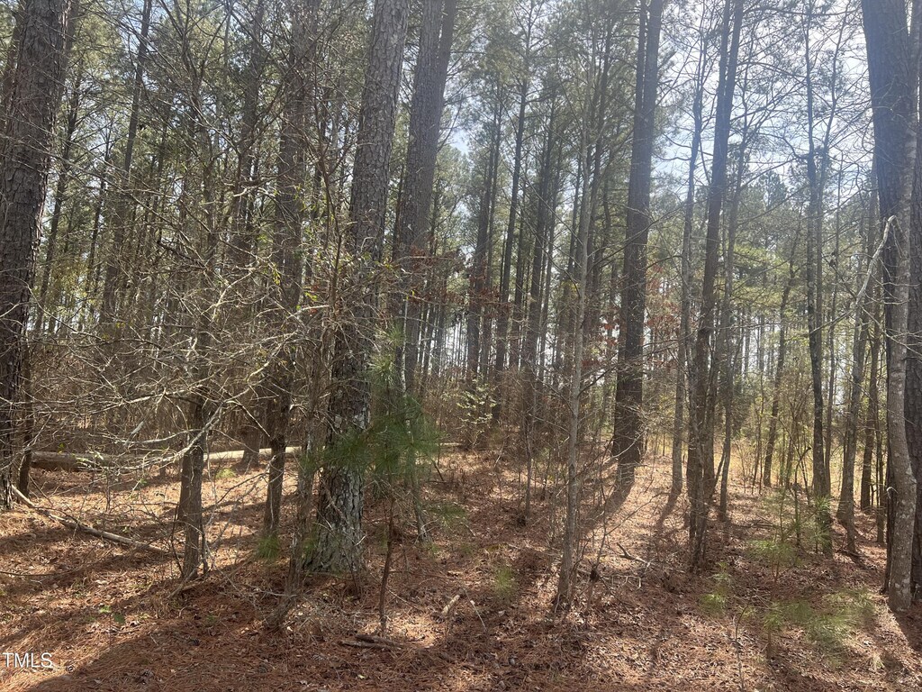 0 Chesley Ln, Lillington, NC 27546