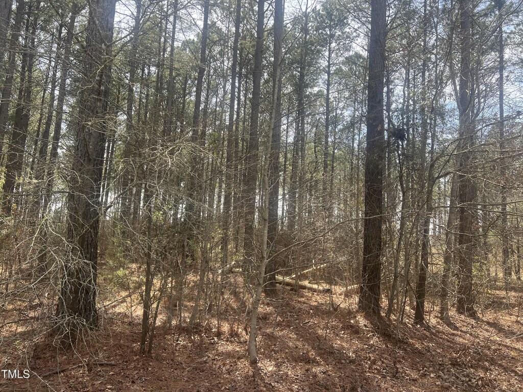 0 Chesley Ln, Lillington, NC 27546
