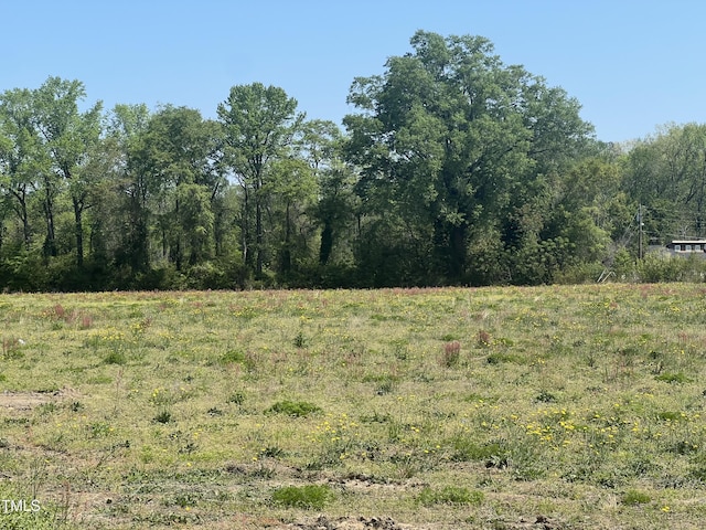 92 Dalton Dr, Lumber Bridge, NC 28357 - view of nature