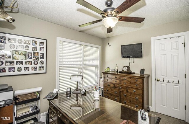 45 Wimberly Ave, Rocky Mount, NC 27804 - photo 15