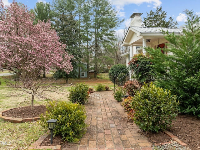 view of yard