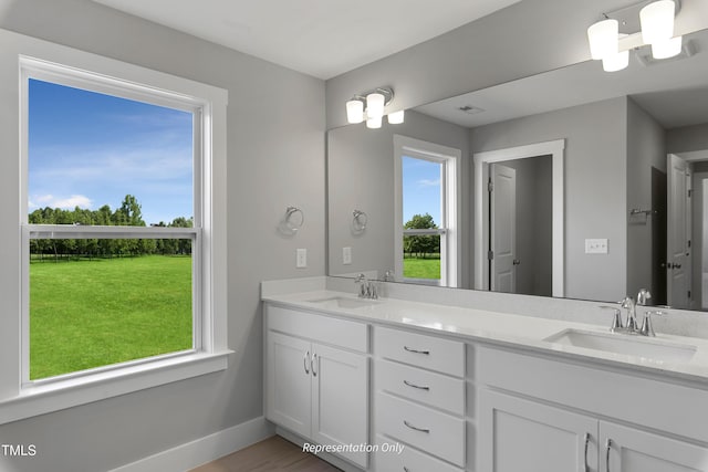 bathroom featuring baseboards, double vanity, and wood finished floors