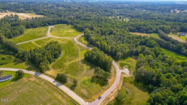 8729 Maxine St Lot 38, Willow Springs, NC 27592 - photo 41