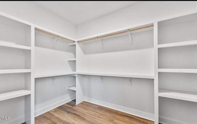 walk in closet with wood finished floors