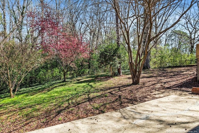 6407 Kimridge Rd, Fayetteville, NC 28314 - view of yard