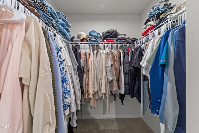 1558 Indigo Creek Dr, Zebulon, NC 27597 - walk in closet featuring carpet