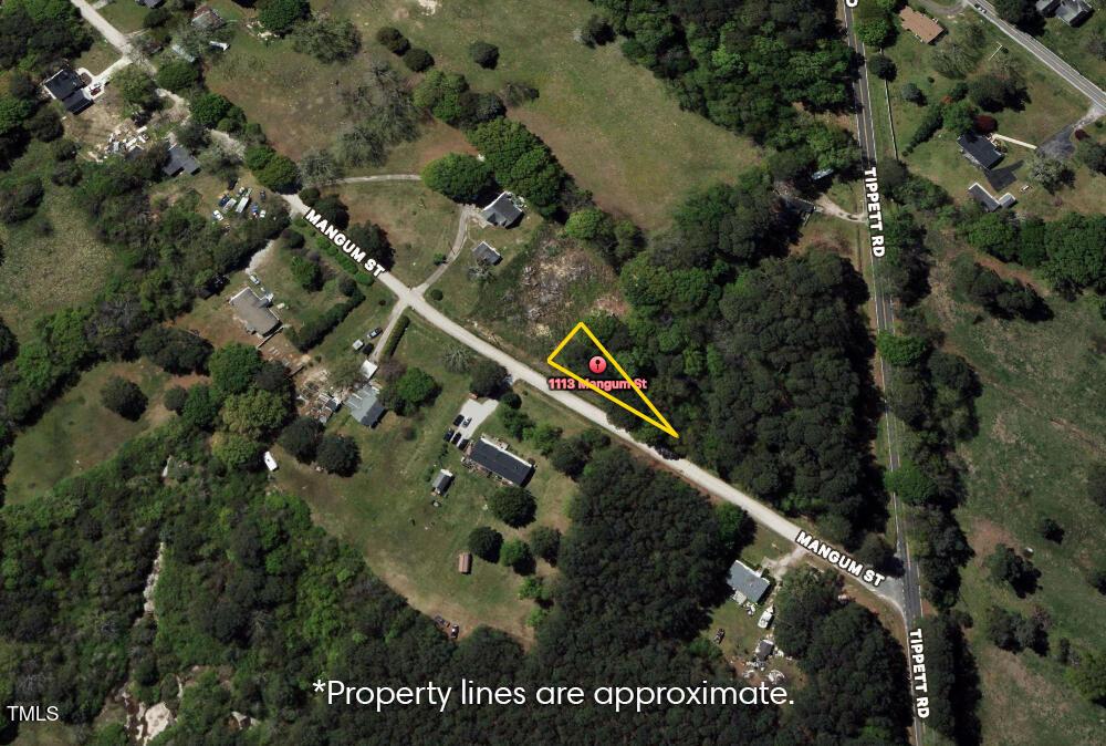 1113 Mangum St, Zebulon, NC 27597 - photo 1