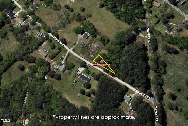 1113 Mangum St, Zebulon, NC 27597 - photo 1