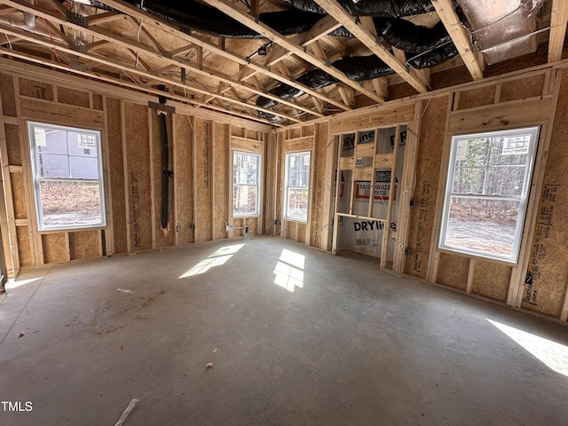 miscellaneous room with plenty of natural light