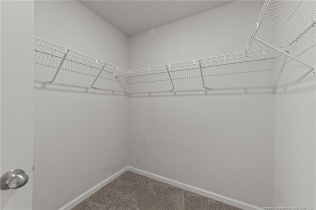 524 Mineral Spring Ln, Fuquay Varina, NC 27526 - spacious closet with carpet flooring