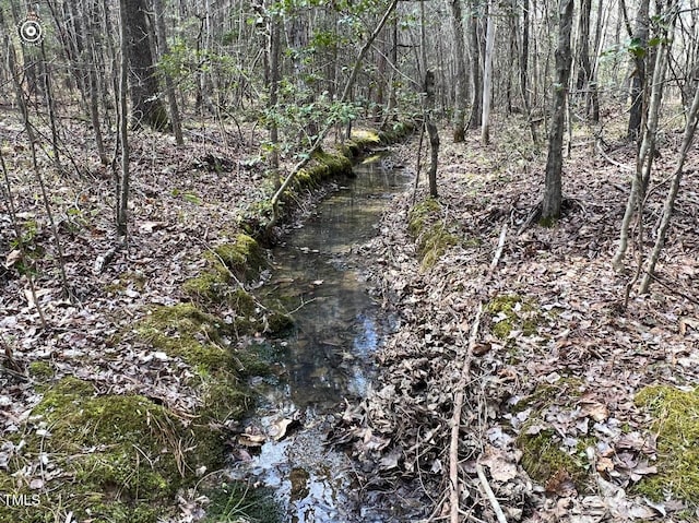 234 Rolling Hills Rd, Skipwith, VA 23968 - view of local wilderness featuring a forest view