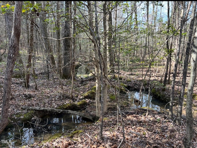234 Rolling Hills Rd, Skipwith, VA 23968 - view of local wilderness featuring a wooded view