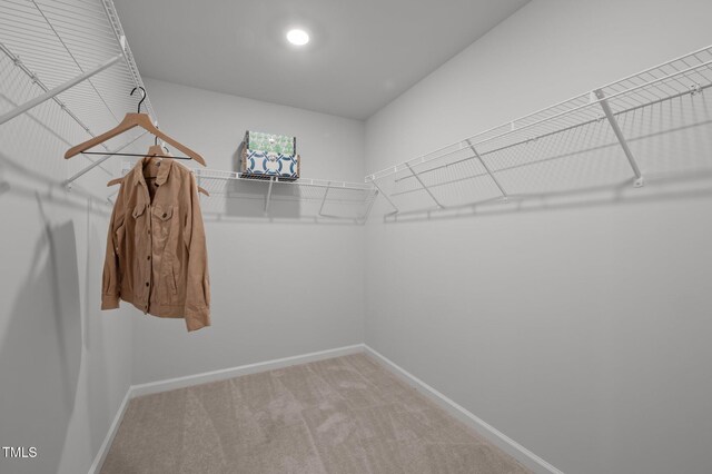 walk in closet with carpet floors