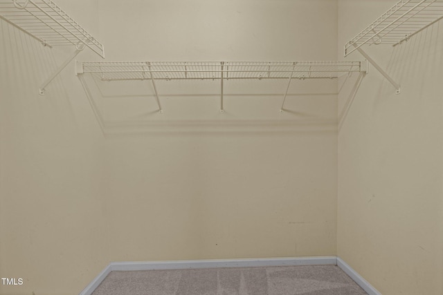 walk in closet featuring carpet flooring