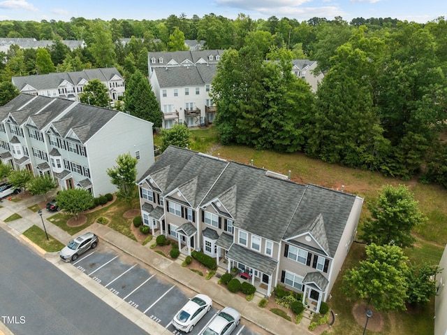 bird's eye view
