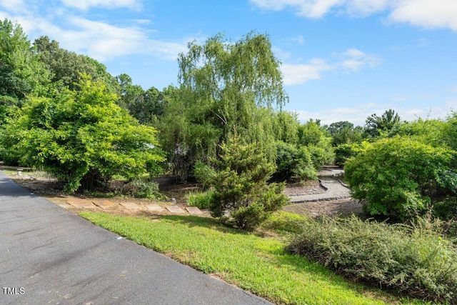 4811 New Sharon Church Rd, Hillsborough, NC 27278 - view of property's community